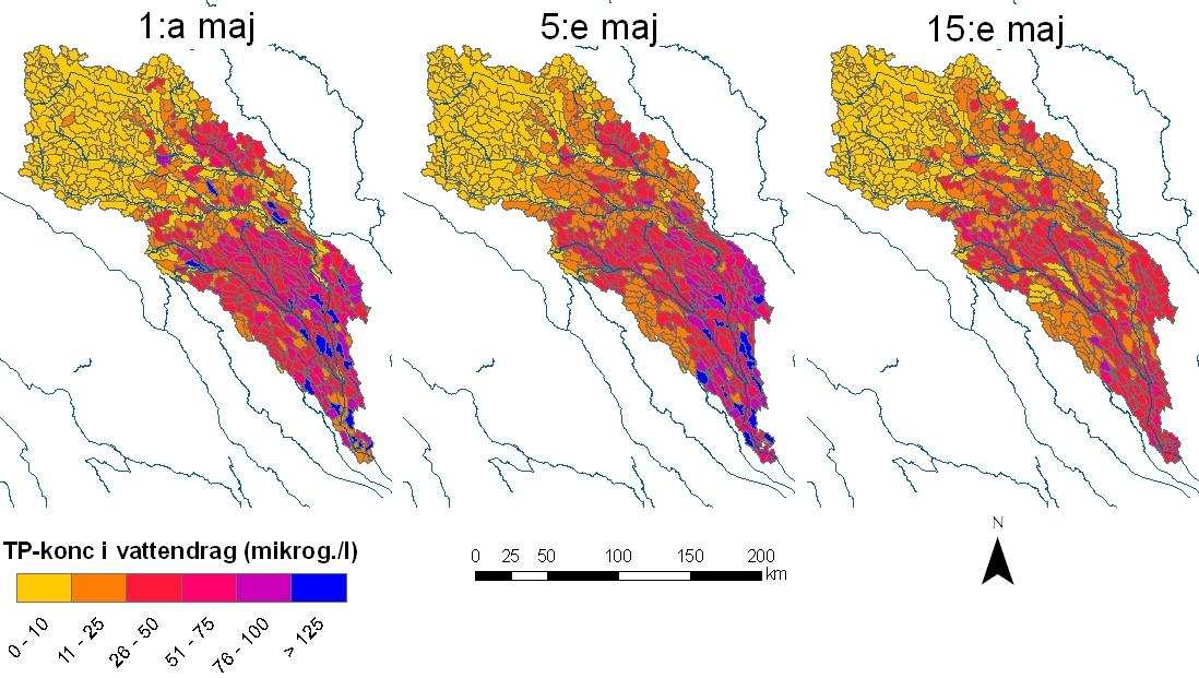 Figur 24. Belastning från mark till vattendrag av totalfosfor i Kalixälven under vårfloden 29. Den aktuella vattenföringen i mynningen markeras med röd punkt i de infällda diagrammen.