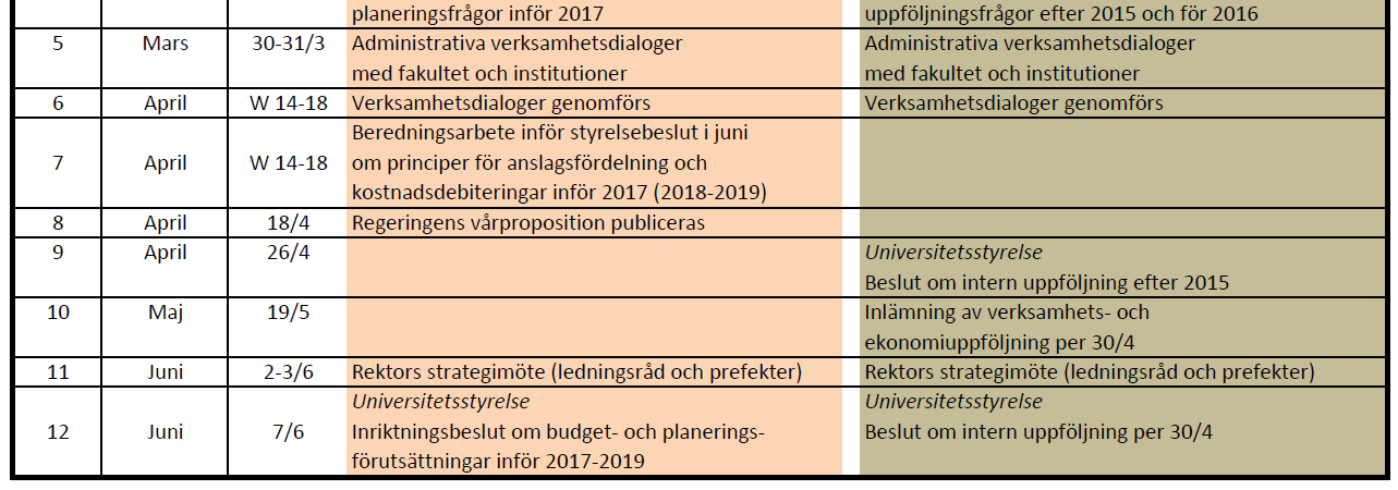 Tids- och aktivitetsplan