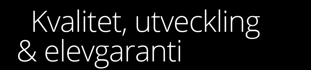 Vi har 13 syskonskolor runt om i Sverige som både lärare och rektorn kan ha utbyte med för att diskutera och utveckla svensk skola.