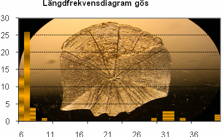 bottennäten vid det senaste provfisket från 2008 i Edssjön.