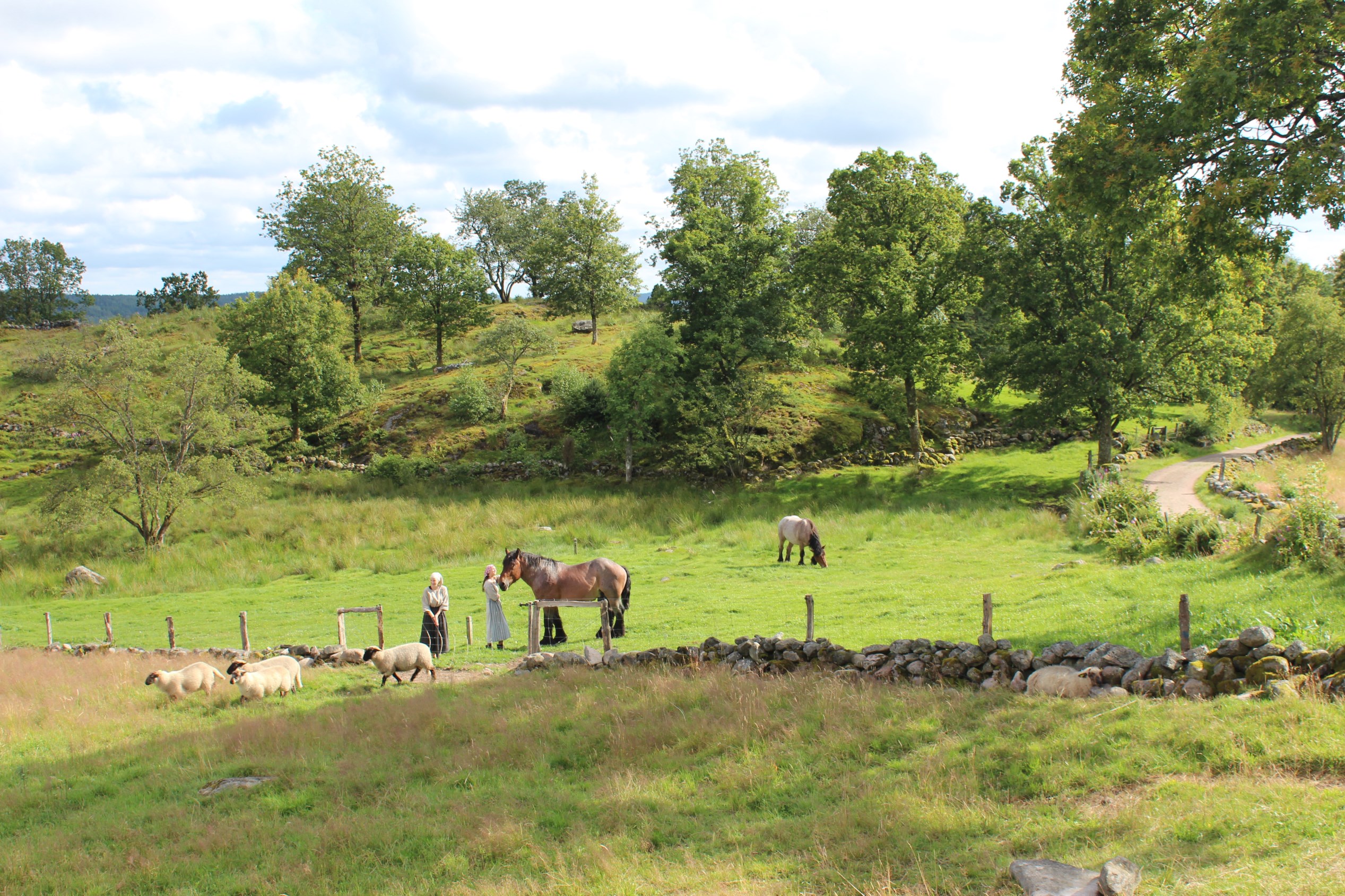 Svenska soldater stormar fram på Brunkebergsåsen. Lägg märke till de små lövkvistarna i svenskarnas hjälmar. En tid av frihet Frihetstiden blev en bra tid för många. Kanske framförallt för bönderna.