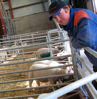 Lekbeteende och positiva känslor hos lamm Det finns ett ökat intresse i samhället för att mäta djurs positiva välfärd.