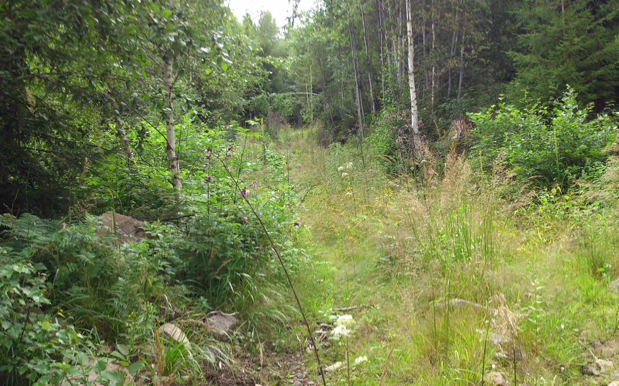 VÄGBESKRIVNING Från rondellen i Torsby, tag E45 norrut i 13 kilometer. Följ vägkartan i detta prospekt.