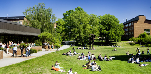 The green inner campus While the university is to get a new, modern, multistorey facade facing Solnavägen, the original character and style of the existing campus will be retained and enhanced.