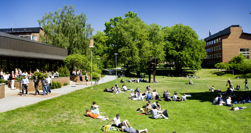 Det gröna, inre campus Universitetet får en ny stadsfront ut mot Solnavägen med höga byggnader och moderna fasader.