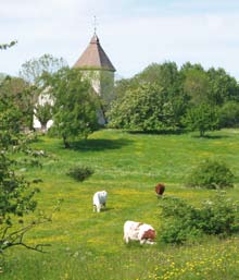 gudstjänster Sommarsolståndets högtid, MID- SOMMARDAGEN, är en urgammal högtid, mycket äldre än kristendomen i Sverige.
