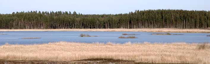 Omsorgen om den fysiska miljön samt utveckling och skydd av naturresurser är centrala frågor i kommunernas översiktliga mark- och vattenplanering.