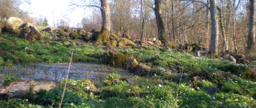 5 Skogens mångfald och skydd Forest Diversity and Protection Antal och areal produktiv skogsmark för biotopskyddsområden och naturvårdsavtal redovisas i tabell 5.4-5.7.