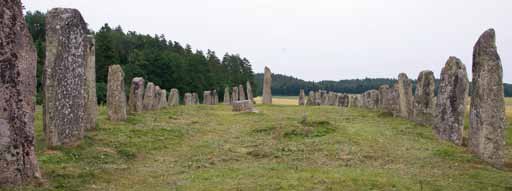 5 Skogens mångfald och skydd Forest Diversity and Protection Ägarkategorier I uppgifterna om nyckelbiotoper; tabell 5.11, figur 5.12, tabell 5.13 5.