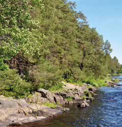 5 Skogens mångfald och skydd Forest Diversity and Protection Värdetrakter: Landskapsavsnitt med stor koncentration av särskilt höga ekologiska bevarandevärden.