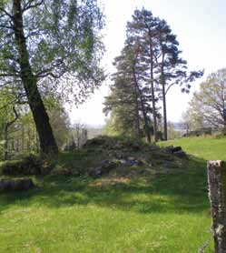 6 Skogsvård och miljöhänsyn Anders Grönvall 6 Skogsvård och miljöhänsyn Silviculture and Environmental Consideration Skogsstyrelsens årliga enkätundersökningar bland skogsägare visar att under 2010: