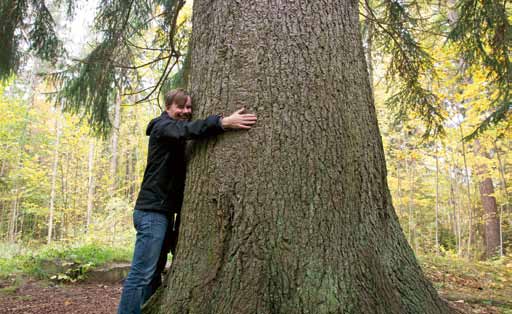 1 Skoglig statistikproduktion The Production of Forestry Statistics Polytax har utförts i hela landet sedan 1999 och totalt inventeras ca 500 föryngringsavverkningar per år och inventering (P0, P1