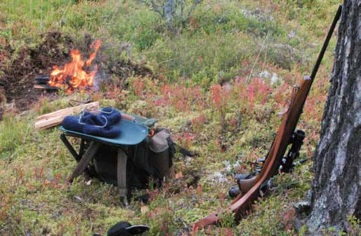 4 Tillståndet i skogen Forest Conditions Älgbetning Sedan 2003 registrerar Rikskogstaxeringen älgbetning efter liknande principer som Skogsstyrelsens ÄBIN-inventering (tabeller 4.17 och 4.18).