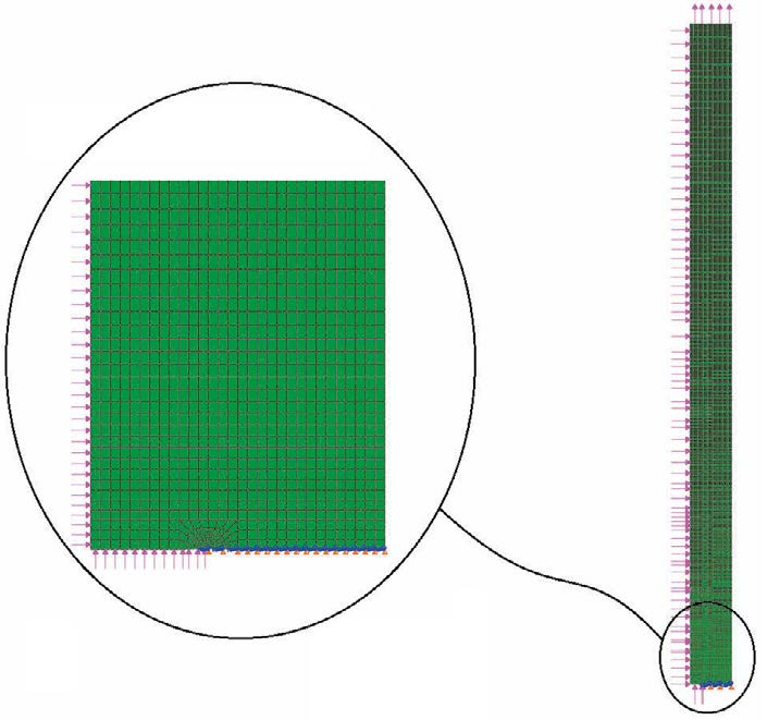 3.4 FE-modell Analyserna utförs i FE-programmet Abaqus 6.14-2 [4]. Andra ordningens element används i samtliga analyser och sprickspetsen modelleras med kollapsade noder. 3.4.1 Runtomgående omkretsspricka De runtomgående omkretssprickorna modelleras med axisymmetri samt symmetri i sprickligamentet enligt Figur 2.