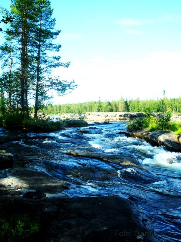 Mittuniversitetet Östersund Institutionen för samhällsvetenskap Kandidatuppsats 15 hp Turismvetenskap VT 3 juni 2010 Utländska besökare i den