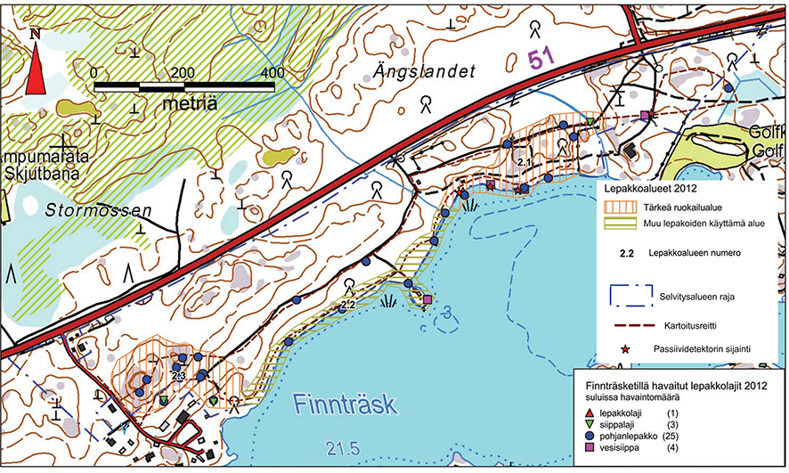 Fladdermöss På Finnträsks strandområden finns observationer av nordisk fladdermus och läderlappar.