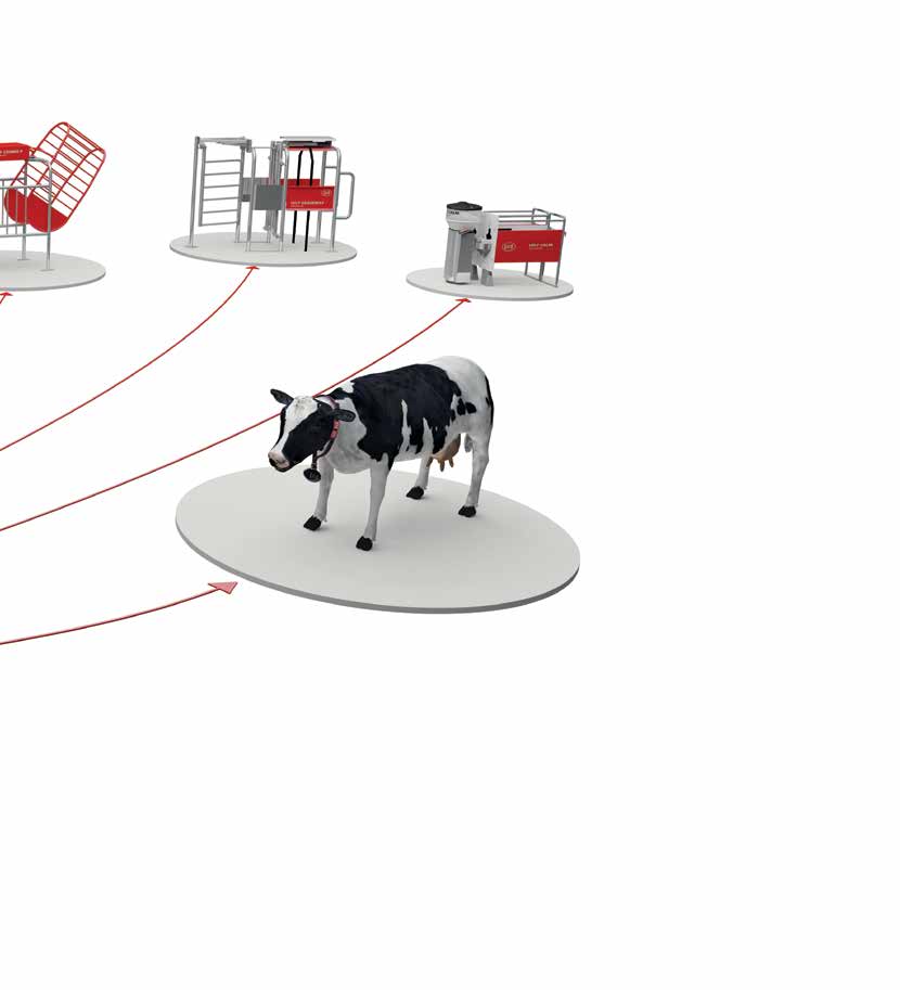 utrustning Lely Cosmix utfodrare Lely Grazeway selekteringsbås Lely Calm automatiserad kalvutfodrare Lely Qwes hälso- och reproduktionsövervakning Ett unikt halsmonterad koidentifieringssystem och en