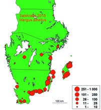 especially in SW Sweden (Nilsson 2012, Green & Nilsson 2015).