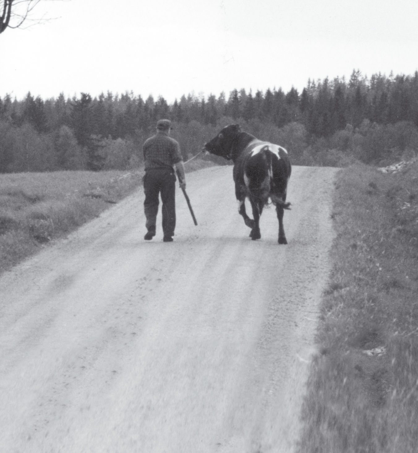 Bulls Steakhouse är en trendig koncept- restaurang med metropolkänsla, stadigt rotad i den småländska myllan. Här är det design och trend som gäller.