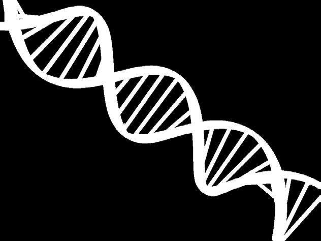 DNA-teknik i naturens tjänst Tillsyn, uppföljning, utvärdering och