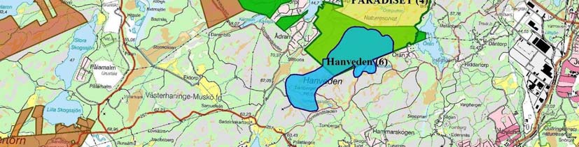 Kontorets inriktning Kontoret planerar se över pågående och beslutade naturreservatsbildningar och natura 2000-områden samt utreda möjligheten att avyttra dessa områden till