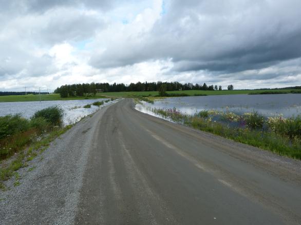 0.4 0.3 0.2 0.1 0.0-4 -2 0 2 4 Tillsammans blir det 5% av observationerna som ligger i svansarna på fördelningen. Hamnar ett värde där säger vi att det är signifikant skillnad mellan populationerna.