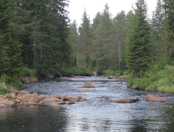 Parametriska data är alltid att föredra eftersom de kan hanteras med bättre och mer avancerade