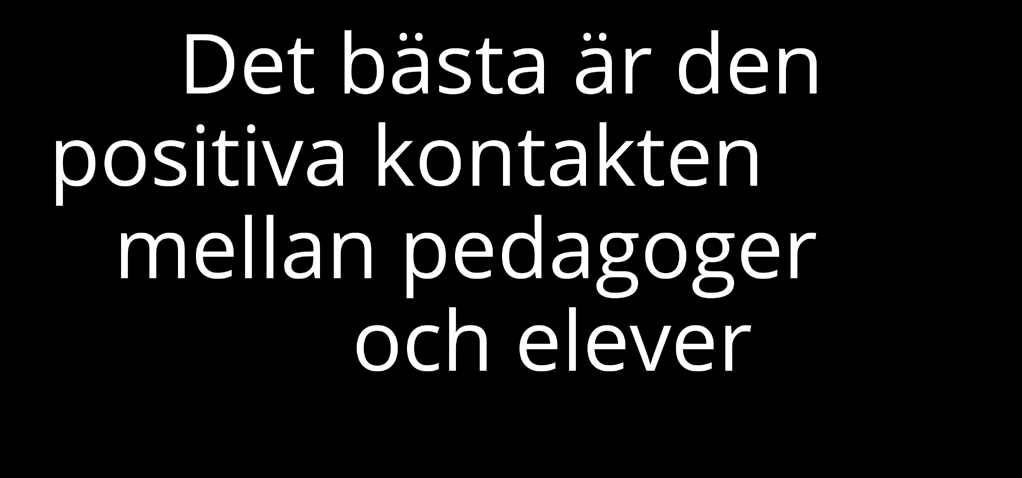 Som person och lärare är jag strukturerad och engagerad och försöker uppmuntra mina elever att nå sina mål och våga ta plats samt att utvecklas.