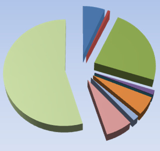 Fördelning intäkter och kostnader Intäktsfördelning 2012 1% 1% 0% Årsavgifter Hyresintäkter Övriga intäkter Intäkter Tkr Årsavgifter 1 588 Hyresintäkter 12 Övriga intäkter 11 Kapitalintäkter 0 Summa