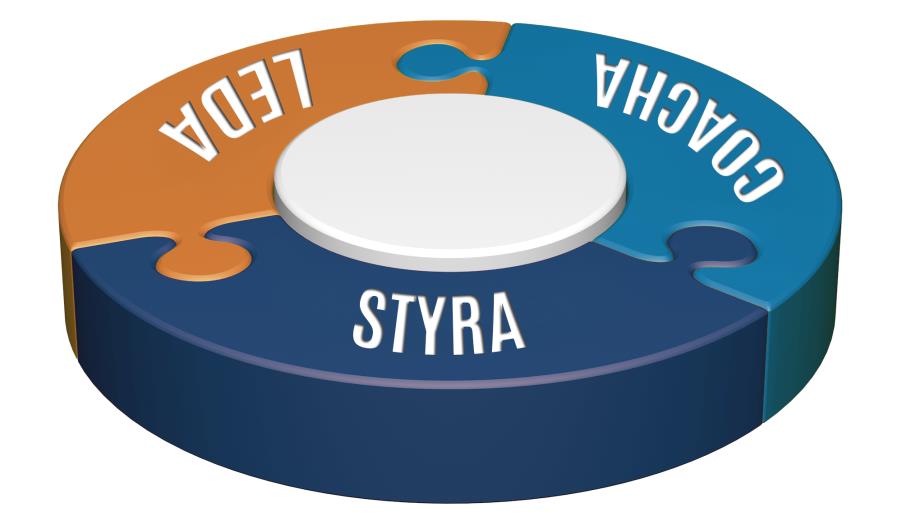 Har du färdigheterna som krävs för att möta morgondagens globala, virtuella och mångkulturella team? Vi ser idag hur trycket ökar på ledare med allt mer komplexa och större team.