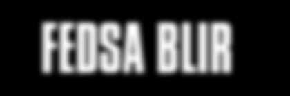 SELDIA FEDSA blir Vid sitt årsmöte den 10 maj 2011, fattade FEDSA två mycket viktiga beslut dels bytte man namn till Seldia och dels antogs nya etiska regler i vilka man också utsåg en europeisk Code