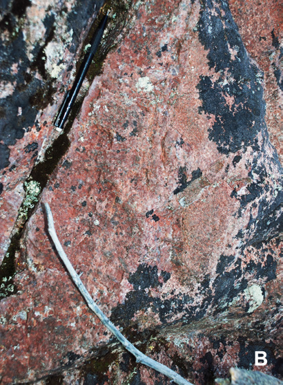 Figur 4. A. Typisk kvartsmonzonit av Revsundssviten. Bergarten uppvisar en närmast horisontell utpräglad orientering av kalifältspatströkornen. Den synliga delen av hammarskaftet är ca 30 cm lång.
