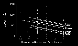 Minskande biodiversitet hämmar ekosystemens Samband artrikedomprocesser Ecotron Cedar Creek Biodepth funktioner De klart flesta av 104 studier som gjorts angående diversitetseffekter hos