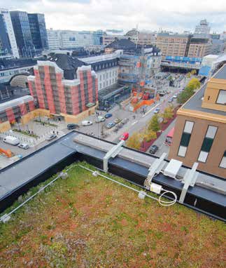 10 Veg Tech - för grönare städer VÄXTERNA ÄR BRA FÖR STADEN Växtlighet motverkar urbana värmeöar Temperaturen är ofta flera grader högre i tätbebyggda och hårdgjorda städer än i områden med mycket