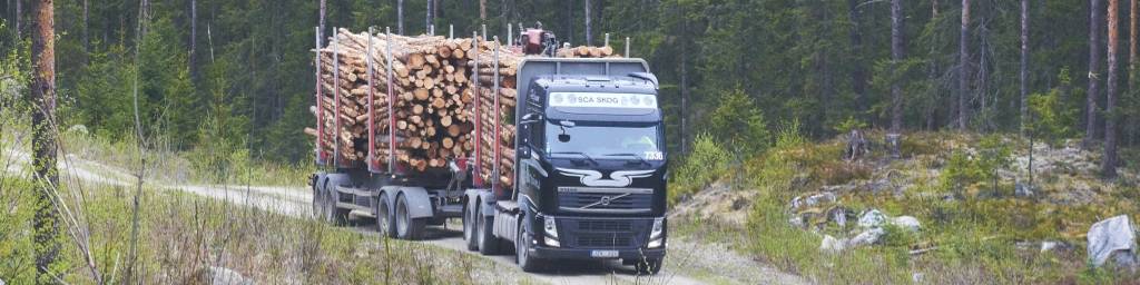 Virkesförsörjning 2011 milj m 3 f 6,8 från skogsförvaltningarna 5,2 från virkesenheterna Egen skog 4,1 Lokala köp 2,6 Externa leverantörer/