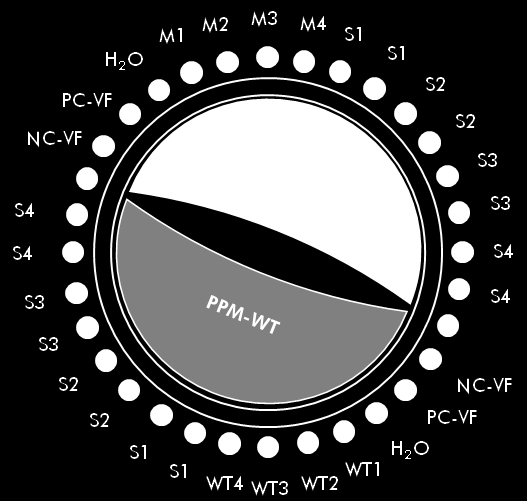 Figur 6. Rekommenderad rotoruppställning för varje experiment med ipsogen JAK2 MutaQuant-kitet.