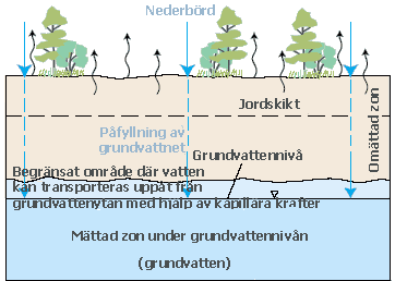 grundvatten vatten som fyller hålrum i den mättade zonen och vars portryck är högre än eller lika med atmosfärstrycket