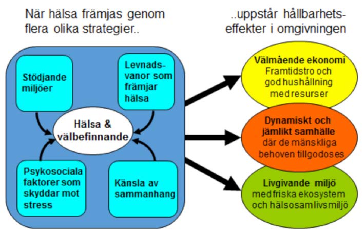 Hälsofrämjande processer som drivkraft för hållbar utveckling Av Johan Hallberg, Landstinget Dalarna Traditionellt miljöarbete behöver kompletteras med nya strategier för att uppnå ökad motivation