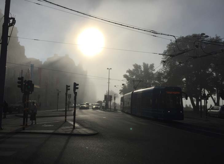 Ja. Upplevelser av vanliga arter. Upplevelser av sällsynta arter. Miljöer för en del sällsynta arter som är urbana. Ekosystemtjänster. Hälsa påverkas positivt.