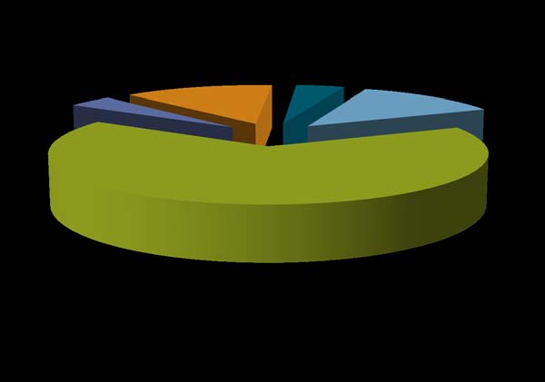 Figur 3 Statens bidrag till regionerna inom ramen för samverkansmodellen 25 4% 13% 4% 13% 66% Anslag 1:4.
