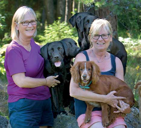 KENNEL SEAROVER uppfödning och framgångsrika hundar Anki Anderssons och Lena Bratsberg-Karlssons uppfödning av labradorer av jaktfamilj har fram till juli 2014 resulterat i 449 st valpar.