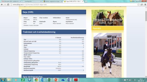 SWB:s hästars testmöjligheter Bedömning & Beskrivning Poängbedömning Fölvisning föl Treårstest 3 år Kvalitetsbedömning 4 år Bruksprov för hingstar 3-6 år Tävlingsresultat 4 år ca 18 Värdering i
