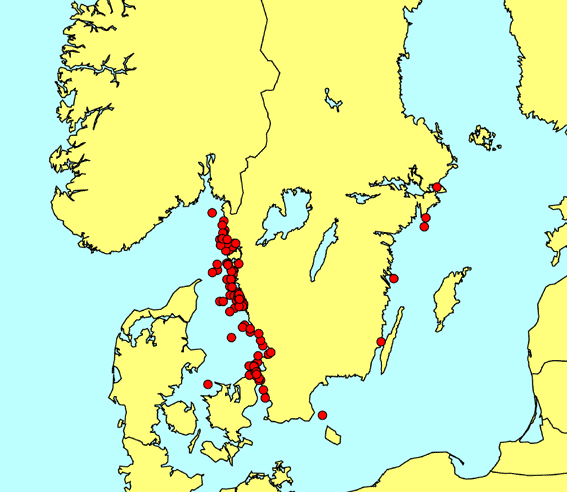 5.3.4 Däggdjur I Östersjön förekommer regelmässigt tre sälarter och en valart. De tre sälarterna är gråsäl (Halichoerus grypus), vikare (Phoca hispida) och knubbsäl (Phoca vitulina).