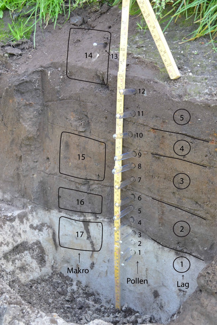 Figur 10. Dyrkningsprofil (profil 2). Lager och plats för provuttag markerat. 3.3.2. Datering dyrkningsprofil På grund av brist på sädeskorn i profilen daterades fyra stengelfragment.