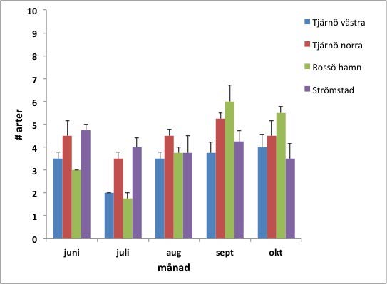Fig. 7 Procentuell täckningsgrad av påväxt på paneler som rengjordes varannan vecka, från fyra lokaler i norra Bohuslän under sommaren 2012.