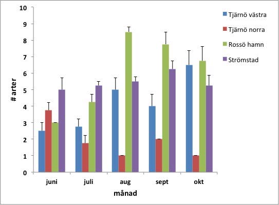 etablera sig på panelerna. Antalet arter var något högre under senare delen av sommaren för alla lokaler utom Tjärnö norra. Fig. 9.