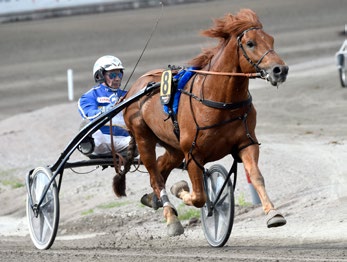 V75-3 Läget värst emot vår spik Jokivarren Kunkku är huvudet högre än sina konkurrenter och trots ett jobbigt utgångsläge väljer vi att singelstrecka.