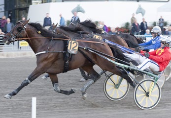 V75-1 Vi ropar bravo en gång till Silverdivisionen inleder men det känns som två lopp som körs samtidigt. En öppen bronsdivision bakom en duell mellan två guldhästar.