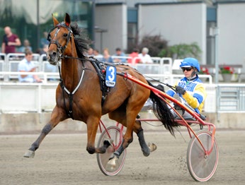 V75-2 Vi föll direkt för Don Juan Lördagsloppet flyttades med rätta in istället för Gulddivisionen som var en tunn soppa den här veckan.