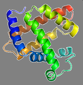 Biologisk emergens?